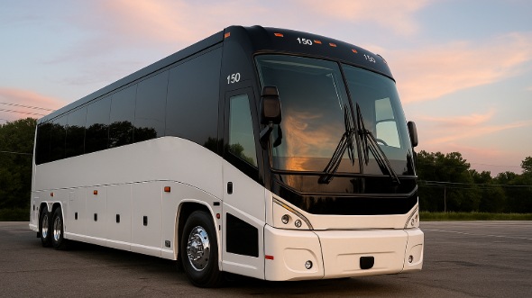 macon bachelor and bachelorette party bus rentals
